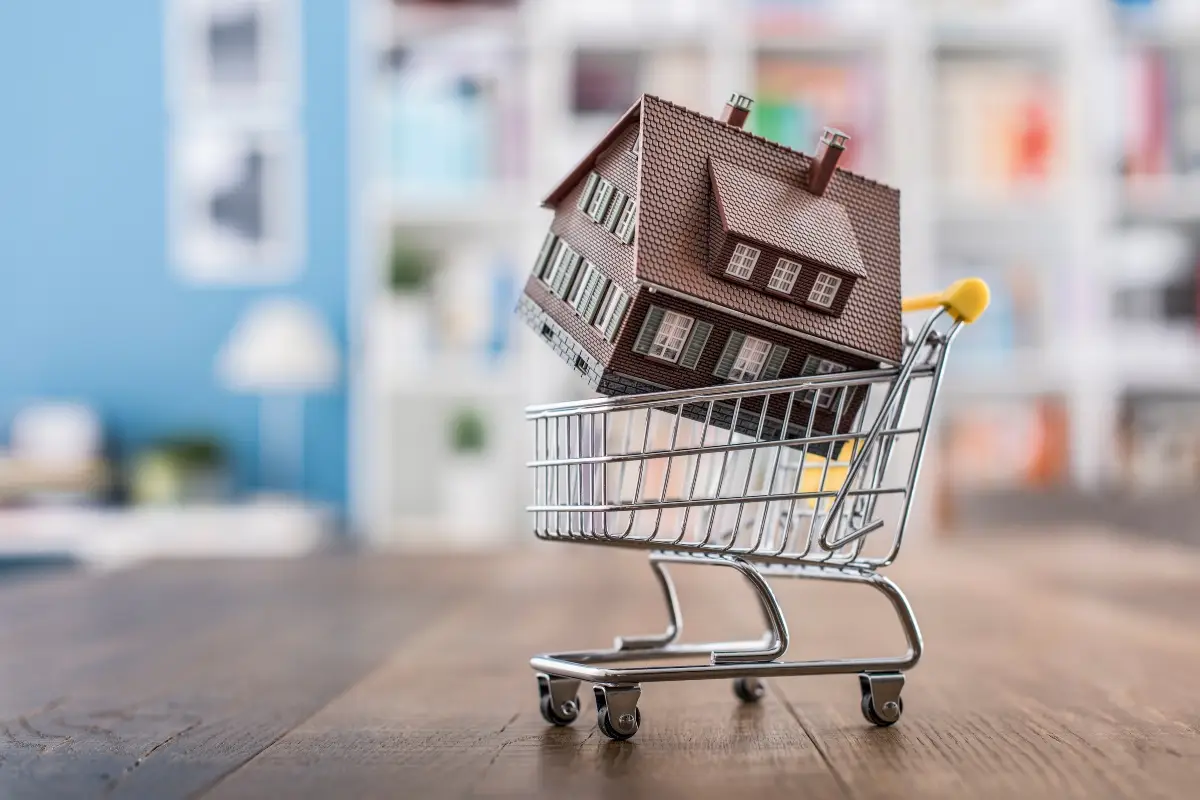 Buying a house in a shopping cart. Is it a good investment?
